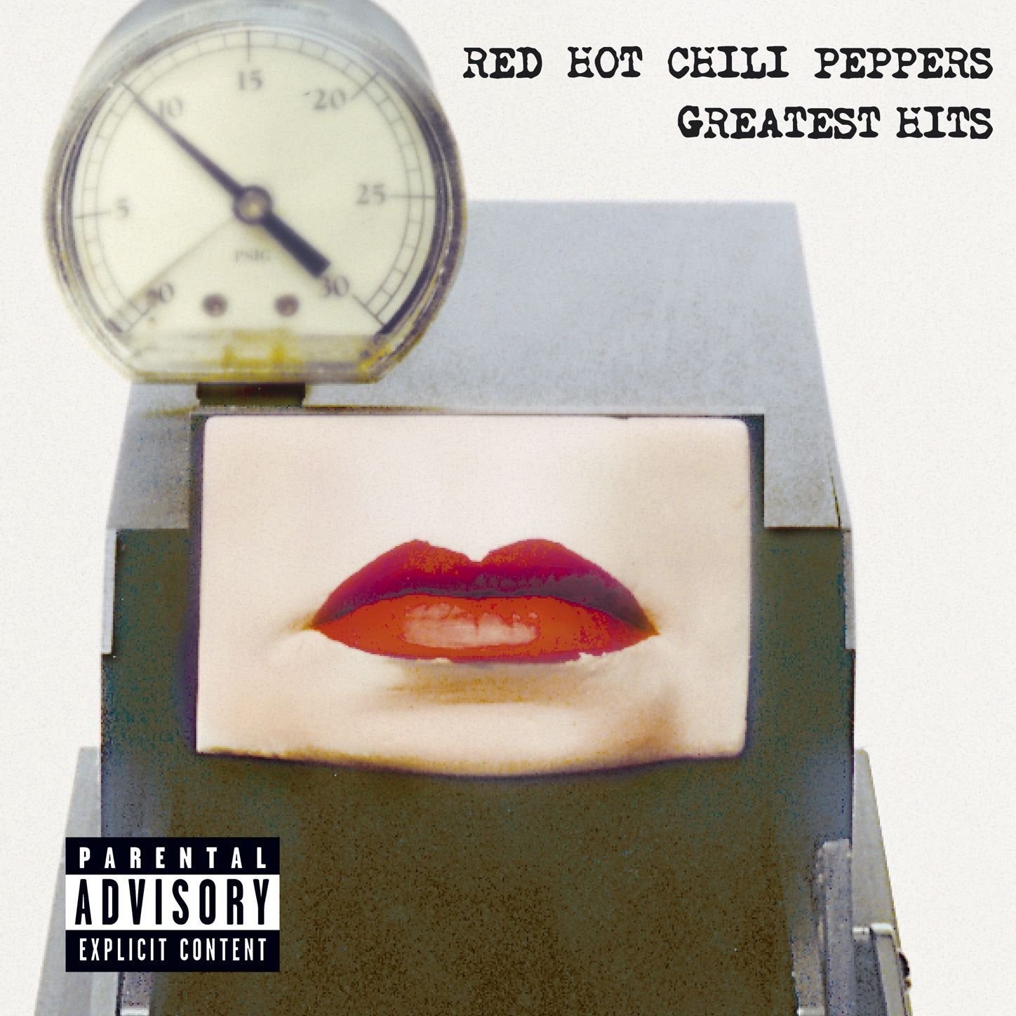 Red Hot Chili Peppers- Greatest Hits. Double Gatefold Vinyl
