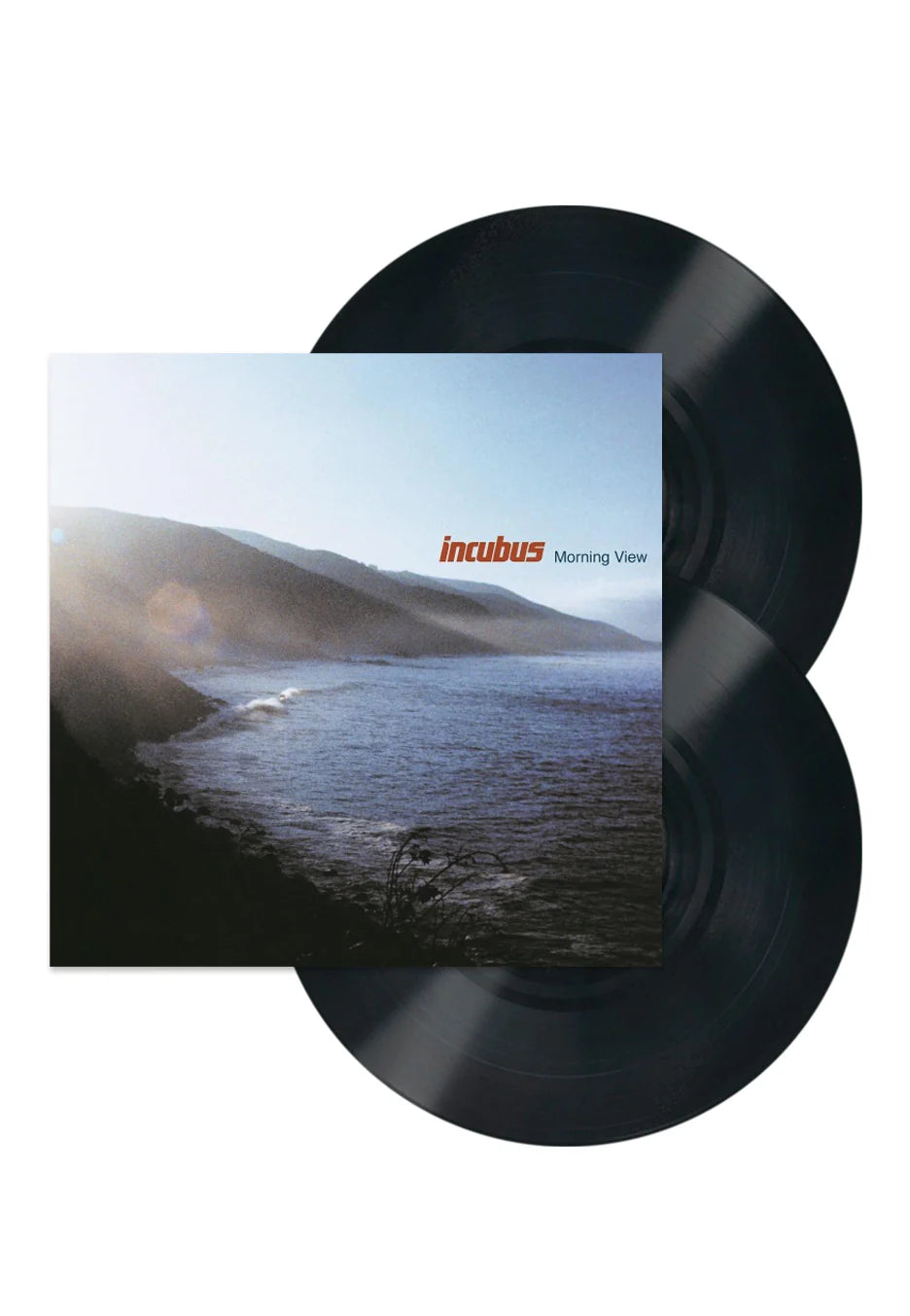 Incubus- Morning View. Heavyweight Double 180g Vinyl